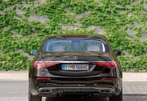 奔驰车友会吃瓜,揭秘吃瓜背后的故事与真相