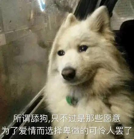 吃瓜小狗文案句子,揭秘娱乐圈幕后故事