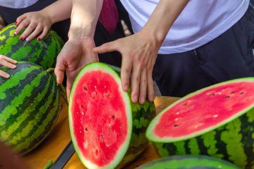 焦作学校吃瓜事件,校园风波背后的真相与反思