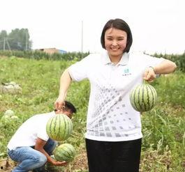 樱花少女吃瓜群众,樱花少女与吃瓜群众的趣味互动