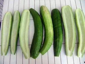 吃瓜时的瓜条,揭秘吃瓜时的美味奥秘