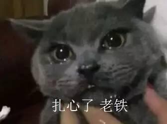 喵酱吃瓜看戏,揭秘娱乐圈幕后故事