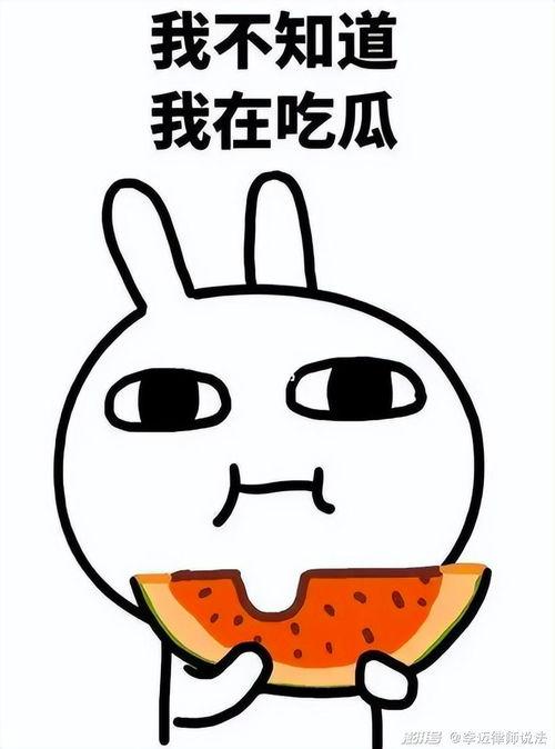 吃瓜人可欺,揭秘网络谣言背后的真相