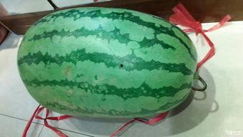 云浮吃大瓜,大瓜盛宴,尽享地方特色