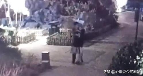 陇南吃瓜事件视频,一场引发热议的网络风波