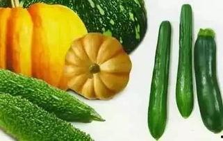 春山吃瓜,一场别开生面的夏日盛宴