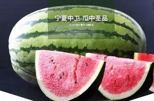 鲤鱼吃瓜图片,一幅生态和谐的画面