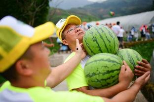 迎来各种吃瓜,盘点娱乐圈的吃瓜盛宴