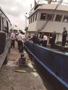 舟山渔船吃瓜事件视频,一场意外引发的全民热议