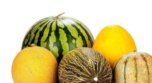 经常吃哪些瓜好,揭秘常吃哪些瓜对健康有益