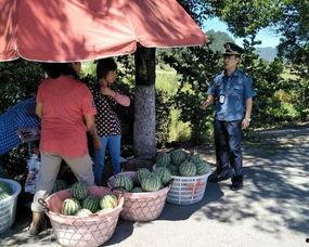 吃瓜群众淑妍,吃瓜群众的智慧与趣味