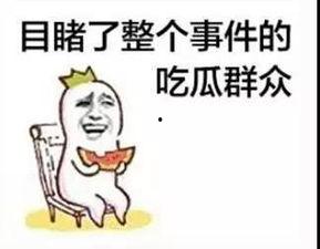 豪豪吃瓜群众,揭秘娱乐圈幕后风云
